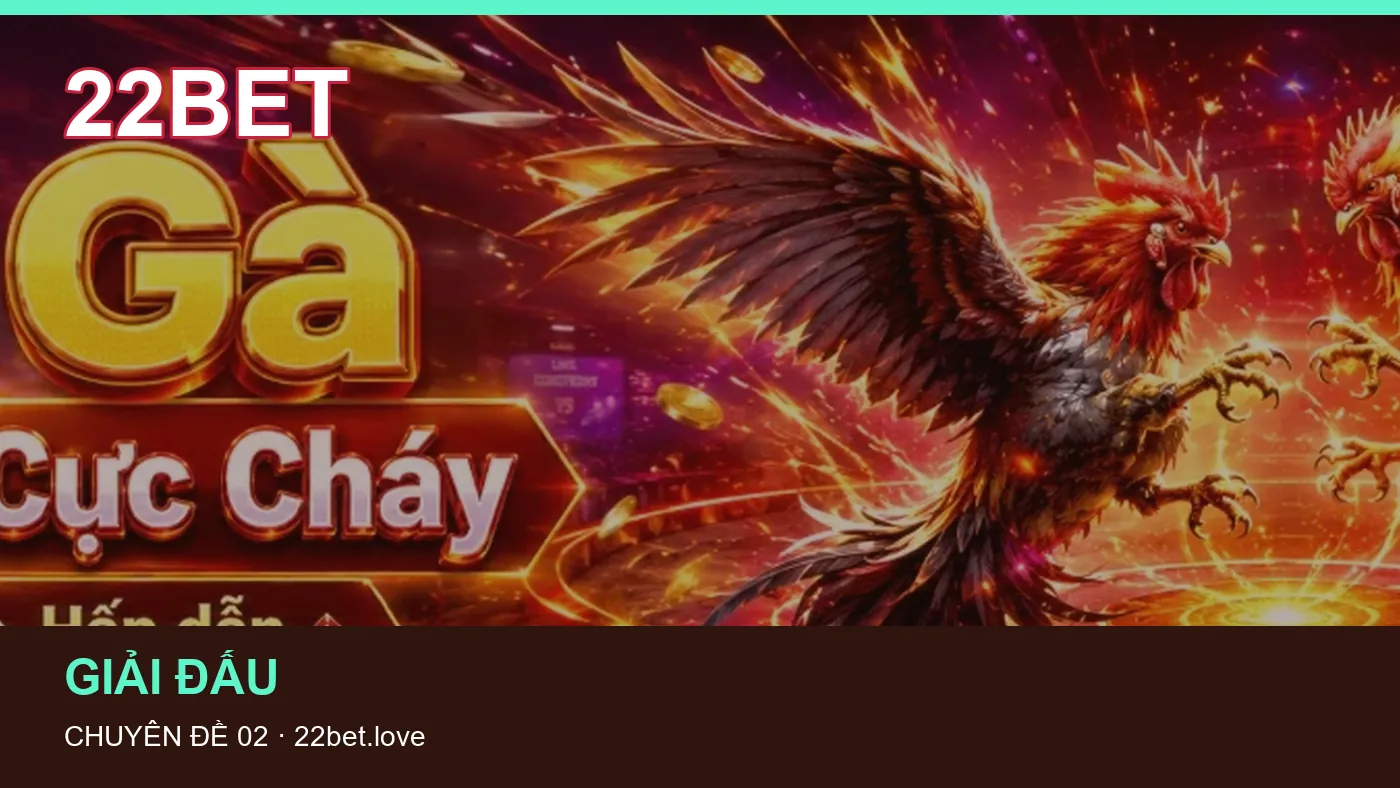 Danh sách kiểm tra thông tin Thuật ngữ kèo dành cho người đọc 22BET